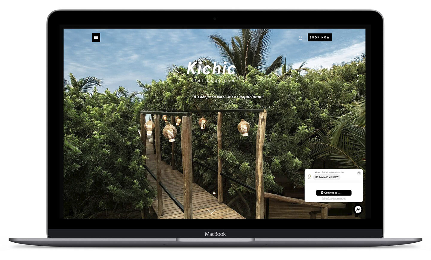 Diseño sitio web Kichic