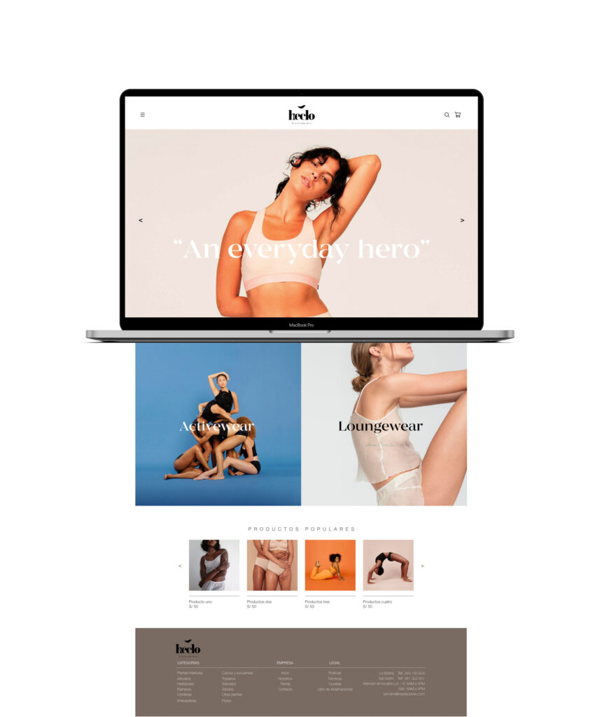 Diseño web de la marca Heclo